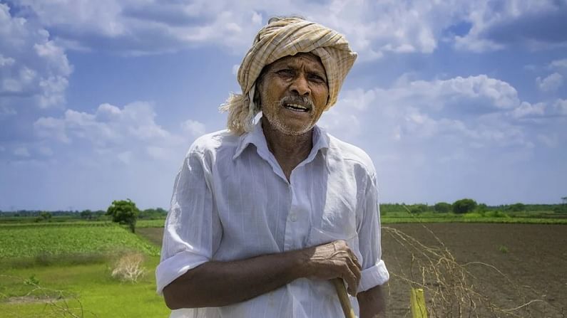 प्रधानमंत्री पीक विमा योजनेचा 52 लाख शेतकऱ्यांना फायदा, केंद्र सरकारकडून 'या' वर्षाची आकडेवारी जाहीर