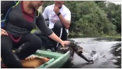 VIDEO | वॉटर सफारीची मजा लुटणारा प्राणी, मनमोहक व्हिडीओने लक्ष वेधलं