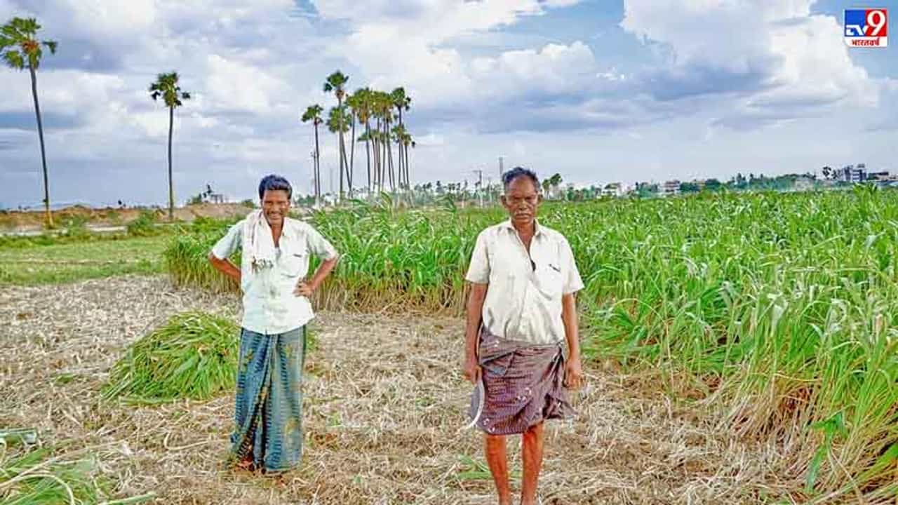 मोठी बातमी : सरकारने 1111 कोटी रुपये शेतकऱ्यांच्या खात्यात पाठवले, या दोन योजनांचा लाभ तुम्हाला मिळणार का?