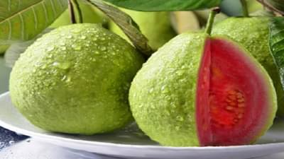 जास्त पेरू खाणे देखील आरोग्यासाठी धोकादायक, वाचा..