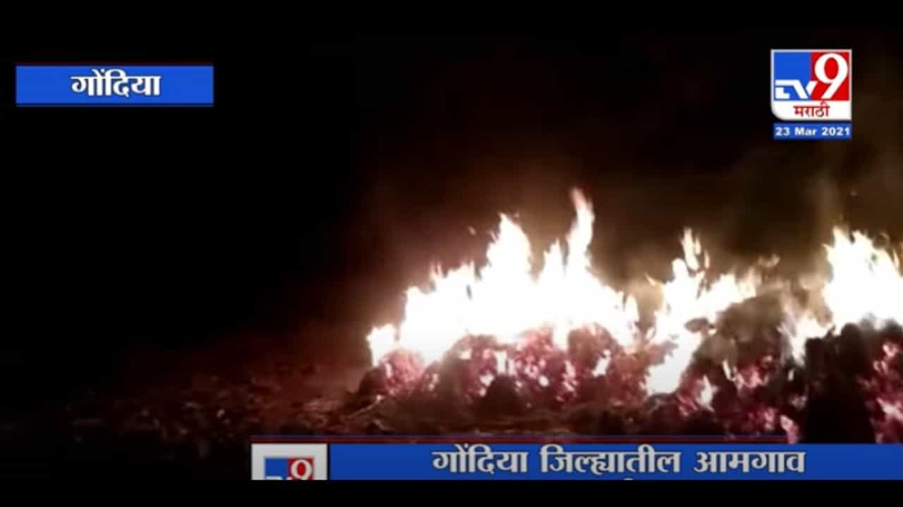 Gondia | अज्ञातांनी लावलेल्या आगीत पिकाच्या ढिगाला आग, शेतकऱ्याचं हजारोंचं नुकसान