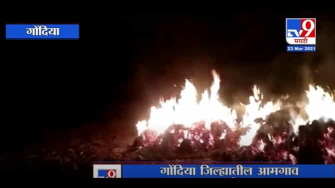Gondia | अज्ञातांनी लावलेल्या आगीत पिकाच्या ढिगाला आग, शेतकऱ्याचं हजारोंचं नुकसान