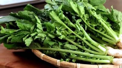 मुळ्याची पाने खाण्याचा कंटाळा करतायत?, थांबा जाणून घ्या हे फायदे