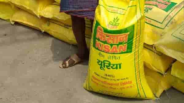 रासायनिक खतावरील सबसिडी शेतकऱ्यांच्या खात्यात जमा होणार? केंद्र सरकार म्हणालं...