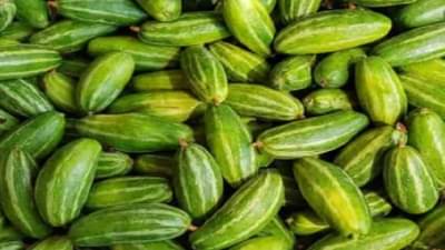 तोंडली खाण्याचे हे जबरदस्त फायदे तुम्हाला माहिती आहेत का? वाचा...