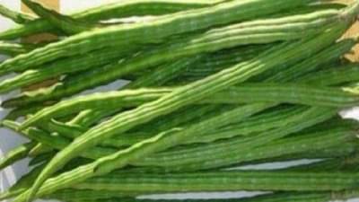 Benefits of Drumstick : आरोग्यवर्धक ‘शेवगा’ अनेक रोगांवर रामबाण उपाय, वाचा अधिक !