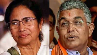 साडी नव्हे, बरमुडा नेसा, ममता बॅनर्जींवर टीका करताना या भाजप नेत्याची जीभ घसरली