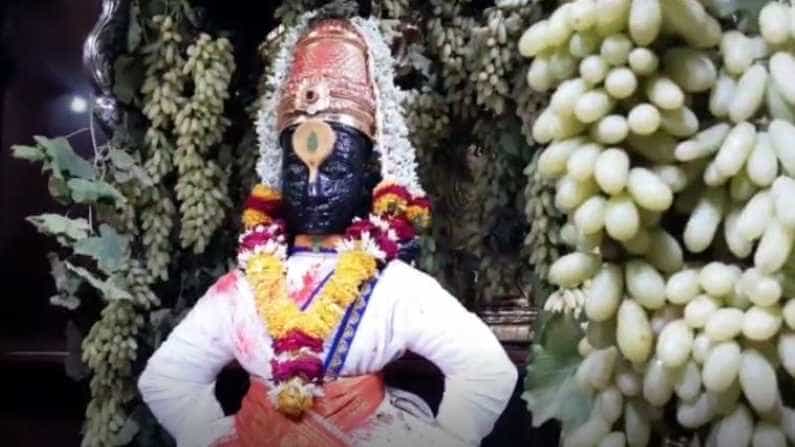आज आमलकी एकादशी असल्याने श्री विठ्ठलास पांढरे वस्त्र परिधान केले असुन रुक्मिणीमातेस चॉकलेटी रंगाची सिल्कसाडीचा पोशाख केल्याने विठ्ठल रखुमाईचे रुप अधिकच खुलून दिसत आहे.
