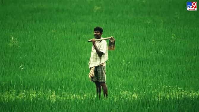 औरंगाबाद जिल्ह्यात रोहिणी नक्षत्राचा पाऊस बरसला, कच्च्या घरांचं, शेती-फळ पिकांचं नुकसान