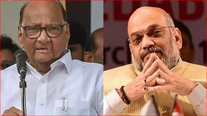 अमित शाहांना जे सुचवायचं होतं ते त्यांनी सुचवलं; पवार-शाह भेटीच्या वृत्तानंतर महाराष्ट्रातील भाजप नेत्याची सूचक प्रतिक्रिया