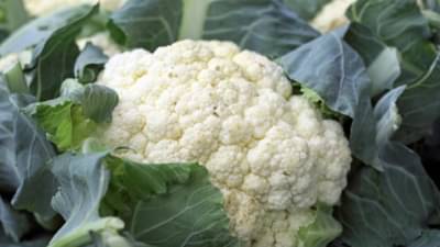 फ्लॉवरची भाजी आरोग्यासाठी जबरदस्त फायदेशीर, वाचा याचे फायदे 