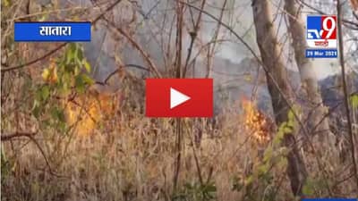 VIDEO | साताऱ्यातील वणवे धुमसतेच, जानाई मळाई डोंगरावर जाणाऱ्या भाविकांची गैरसोय