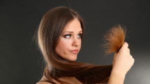 Hair Care Tips : केसांमधील कोंडा काढण्यासाठी दही आणि लिंबू अत्यंत फायदेशीर, वाचा