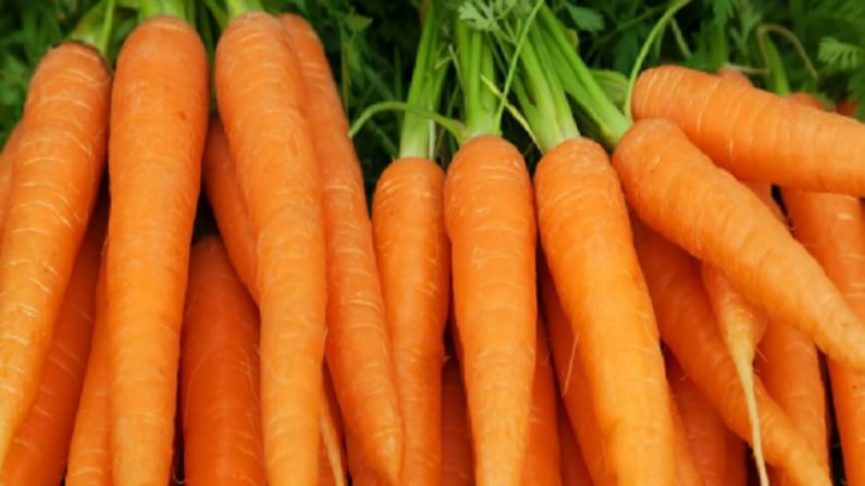 वजनावर नियंत्रण, पोटाच्या त्रासांवरही उपयुक्त, गाजर खाण्याचे जबरदस्त फायदे