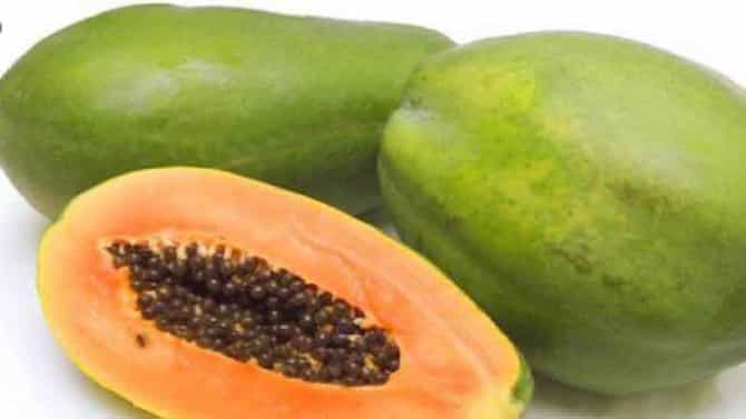 पपई फळातून चार पटीने वाढवा उत्पन्न, जाणून घ्या नेमकी काय आहे पध्दत?