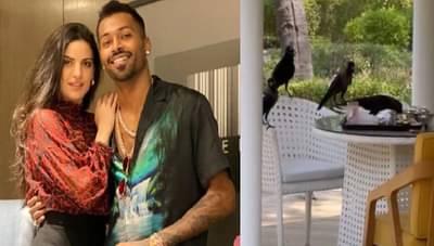 हार्दिक पांड्याच्या जेवणावर कावळ्यांचा अटॅक, नताशाची अशी रिअ‍ॅक्शन...