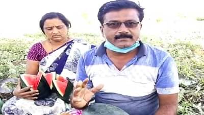 टरबूज, खरबुजाची शेती, 70 दिवसात 8 लाख कमवले; वाचा जिगरबाज शेतकरी दाम्पत्याची कहाणी
