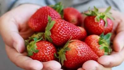 स्ट्रॉबेरी खाणे आरोग्यासाठी जबरदस्त फायदेशीर, वाचा !