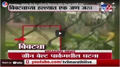 Breaking | जम्मूच्या ग्रीन बेल्ट पार्कमध्ये बिबट्याचा हल्ला, एकजण जखमी