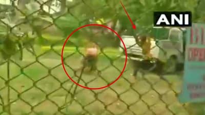 VIDEO: जम्मू काश्मीरमध्ये सर्वांसमोर बिबट्याचा एकावर हल्ला, कुणाचीही हिंमत झाली नाही, अखेर एकाच्या हिमतीने जीव वाचला