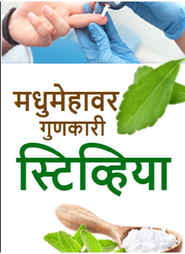 मधुमेहावर गुणकारी ‘स्टिव्हिया’ TV9 Marathi Helth And Medicinal Use