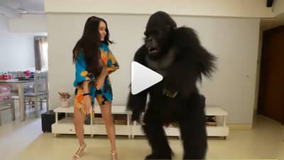 Video | श्रद्धा कपूरच्या घरात अचानक शिरला गोरिला! पाहा अभिनेत्रीने पुढे काय केलं...