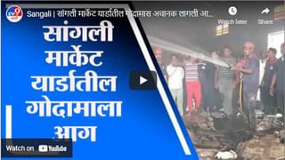 Thane Fire | शहापुरात आदिवासी कुटुंबाचे घर वणव्यामध्ये जळून खाक, कुटुंब रस्त्यावर