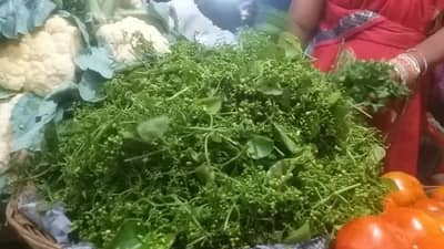 पनीर आणि चिकनपेक्षा महाग विकल्या जाणाऱ्या बोहार भाजीविषयी तुम्हाला माहिती आहे का?