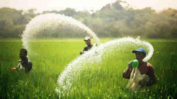 दुष्काळात तेरावा : रासायनिक खताच्या दरात वाढ, शेतकरी चिंतेत