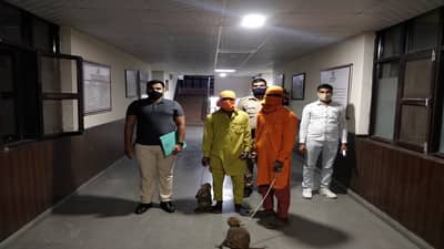 ना चाकू, ना कुठलं हत्यार, लोकांना लुटण्यासाठी चोरट्यांची अनोखी शक्कल, चोरीसाठी माकडांचा विचित्र पद्धतीने वापर