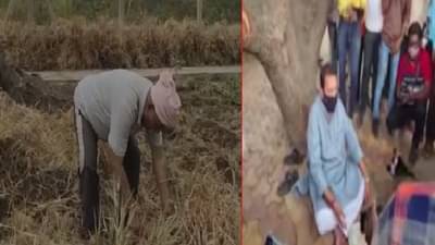 कटोरा घेऊन उदयनराजे रस्त्यावर, तर सातारचा दुसरा खासदार गहू काढण्यासाठी शेतात!