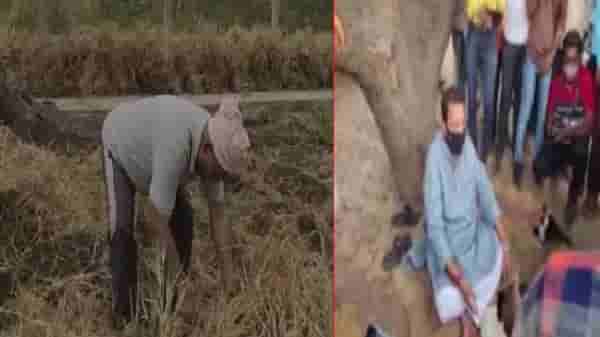 कटोरा घेऊन उदयनराजे रस्त्यावर, तर सातारचा दुसरा खासदार गहू काढण्यासाठी शेतात!