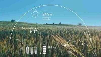 भारतात आता आर्टिफिशियल इंटेलिजन्सच्या माध्यमातून होणार शेती, जाणून घ्या याबाबत सर्व काही