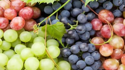 शरीरात रक्ताची कमतरता आहे?, मग आहारात द्राक्षांचा समावेश करा !