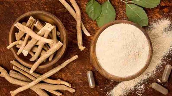 Health Benefits Of Ashwagandha : उत्तम आरोग्यासाठी फायदेशीर अश्वगंधा, जाणून घ्या याचे लाभदायी फायदे