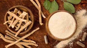 Health Benefits Of Ashwagandha : उत्तम आरोग्यासाठी फायदेशीर अश्वगंधा, जाणून घ्या याचे लाभदायी फायदे