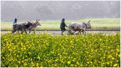 खेडेगावात व्यवसाय सुरु करण्यासाठी सरकार देणार 3.75 लाख रुपये, शेतीची कामे करावी नाही लागणार