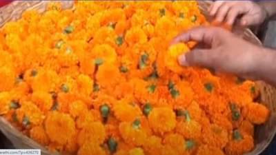 गुढीपाडव्यावर कोरोनाचं सावट, झेंडू उत्पादक शेतकऱ्यांच्या पदरी यंदाही निराशाच