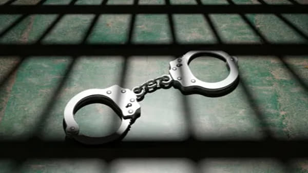 डॉक्टर नवऱ्याने बायकोला लावला कोट्यवधीचा चुना, कशी केली फसवणूक?; वाचाल तर थक्क व्हाल