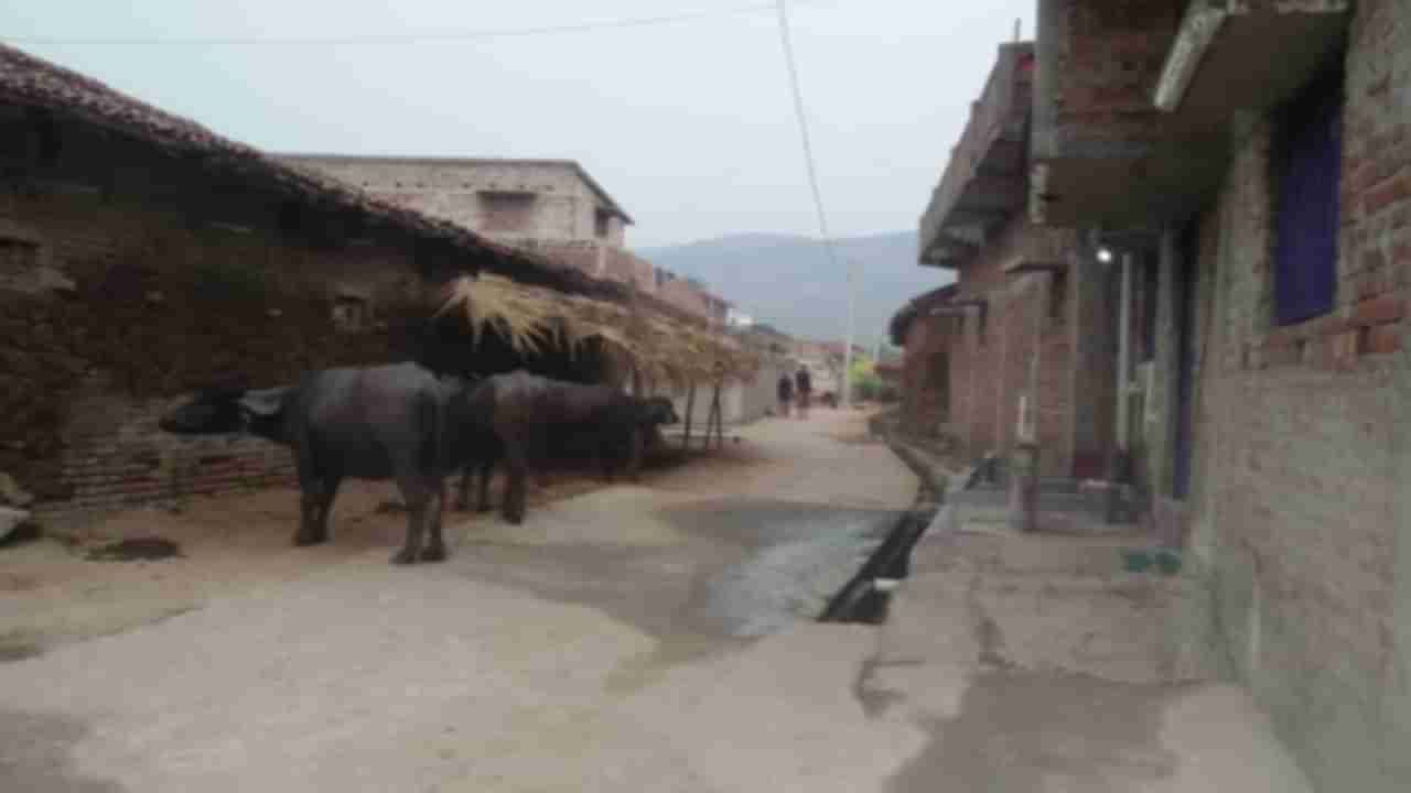 PHOTOS: भारतातील एकमेव शाकाहारी गाव, सर्व लोकांच्या या सवयीमागील अजब गोष्ट, वाचा...