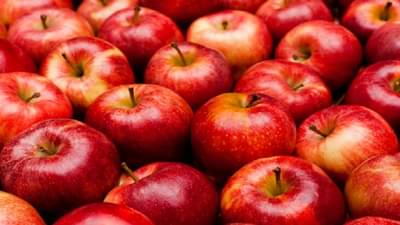 वाढलेले वजन कमी करण्यासाठी प्रयत्न करत आहात? मग सफरचंद खा...