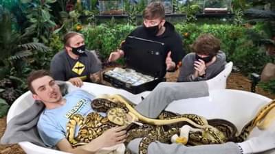 साडे 7 लाख रुपयांच्या बक्षिसासाठी धोकादायक सापांमध्ये बसला, पुढे काय झालं? पाहा Viral Video