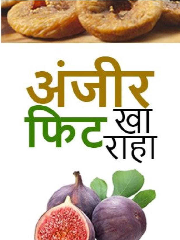 अंजीर खा फिट राहा TV9 Marathi Major Benefit Of Figs Is That They