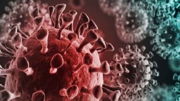 Coronavirus In India : कोरोनाच्या तिसऱ्या म्युटेंटची एन्ट्री? देशवासियांची धास्ती वाढवणारी बातमी