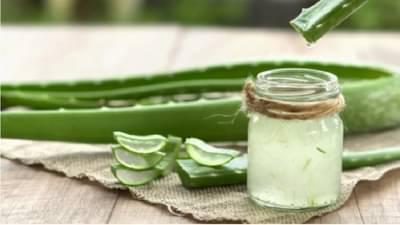 कोरफड त्वचेसाठी अत्यंत फायदेशीर, वाचा !