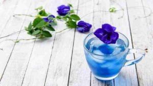 आरोग्यासाठी लाभदायी ब्लू टी, जाणून घ्या फुलांपासून बनविलेल्या या अप्रतिम चहाबद्दल