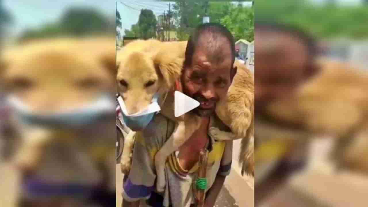 VIDEO : कुत्र्याला मास्क घालून खांद्यावर घेतलं, म्हणाला मी स्वतः मरेल, पण पुरुला मरु देणार नाही