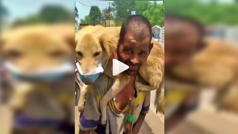 VIDEO : कुत्र्याला मास्क घालून खांद्यावर घेतलं, म्हणाला मी स्वतः मरेल, पण 'पुरु'ला मरु देणार नाही