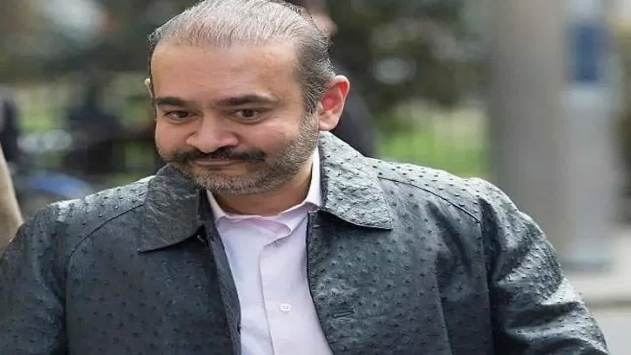 नीरव मोदीला विशेष न्यायालयाचा दणका; 11 जूननंतर संपत्तीवर टाच येणार