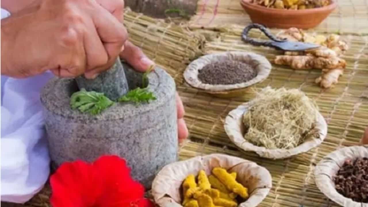 रोगप्रतिकारक शक्ती वाढवण्यासाठी हे आयुर्वेदिक उपाय नक्की करून पाहा !